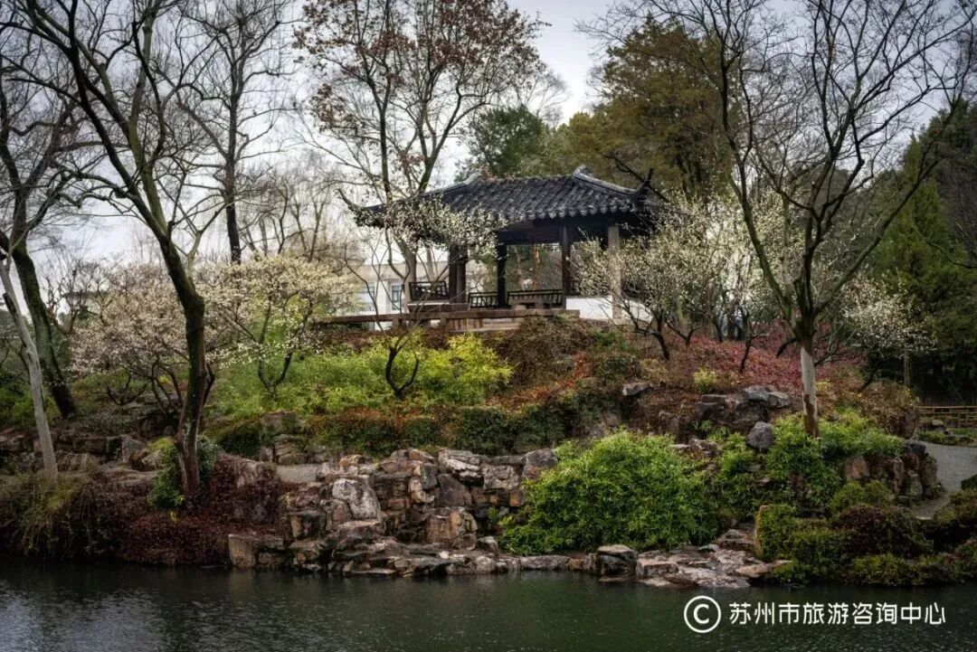 微信图片_20260208132008_343_7.jpg