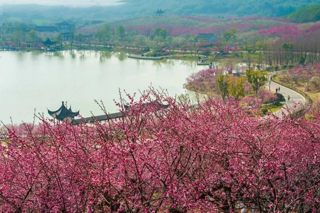 微信图片_20260208132147_357_7.jpg